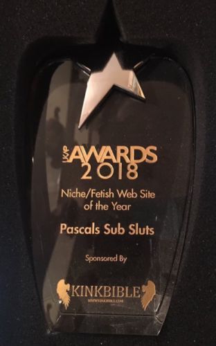 The 2018 UKAP for Niche/Fetish Site of the Year